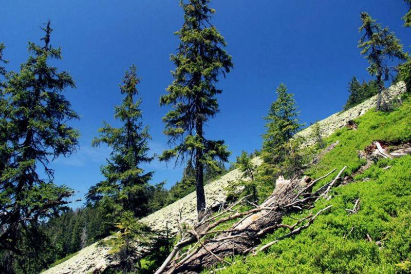 فندق Gostyniy Dvir Synevir سينفير المظهر الخارجي الصورة